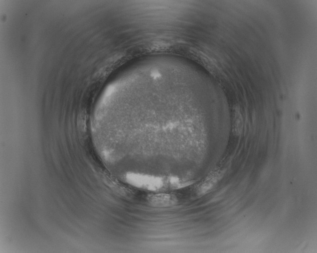 X0000072970230200608211330