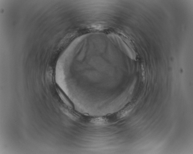 X0000072970231200608211330