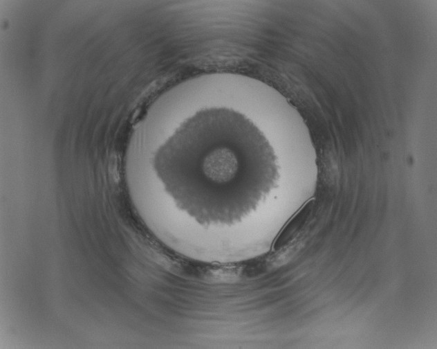 X0000072970232200608211330