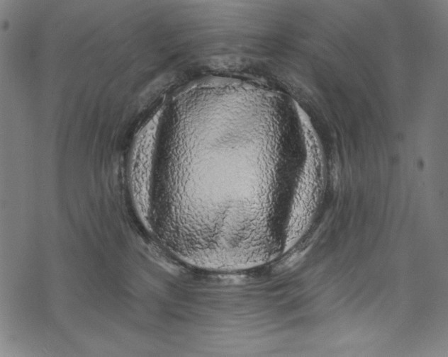 X0000072970233200608211330