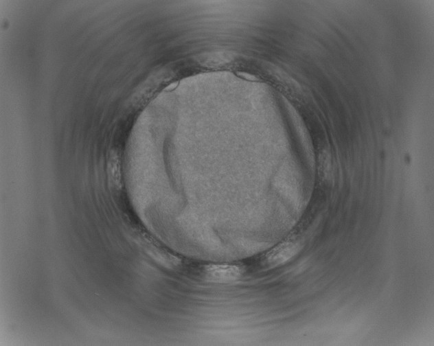 X0000072970234200608211330