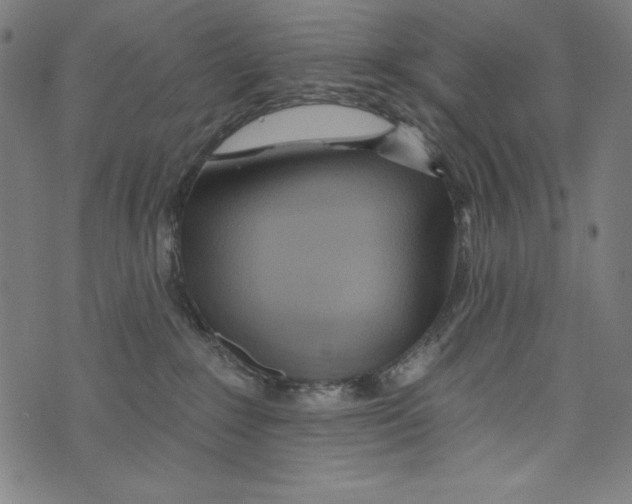 X0000072970235200608211330