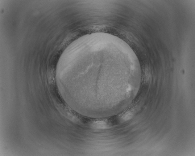 X0000072970236200608211330