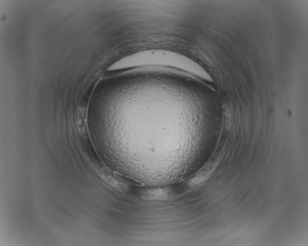 X0000072970237200608211329