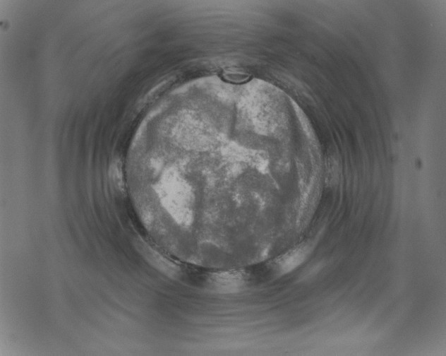 X0000072970238200608211329