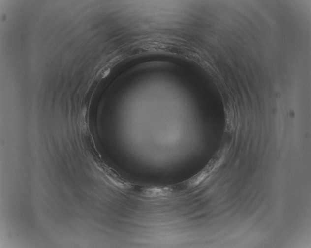 X0000072970239200608211329