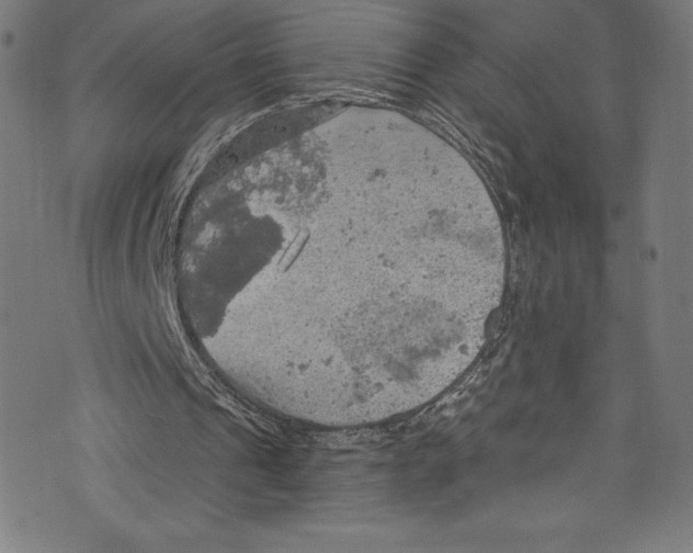 X0000072970241200608211329