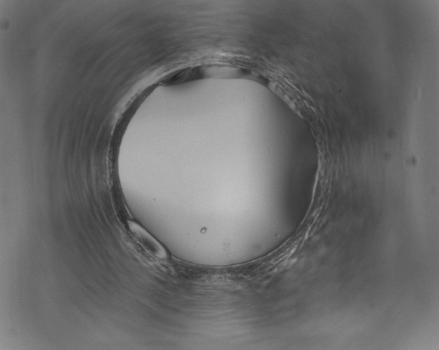 X0000072970244200608211329