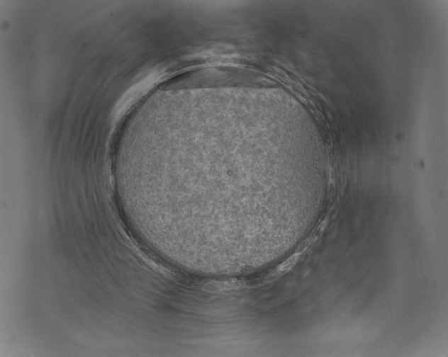 X0000072970245200608211329