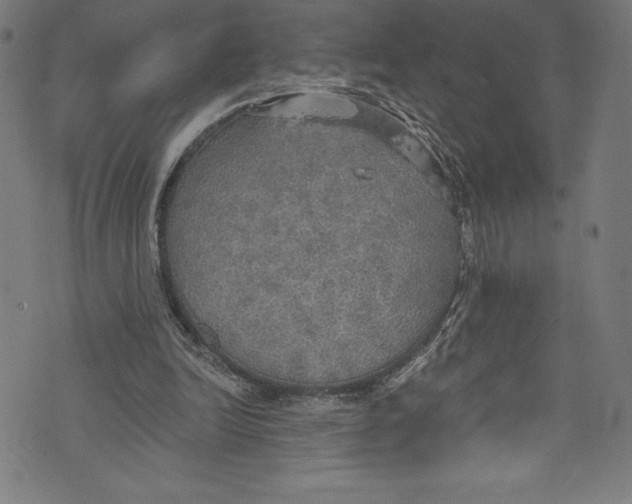 X0000072970246200608211329