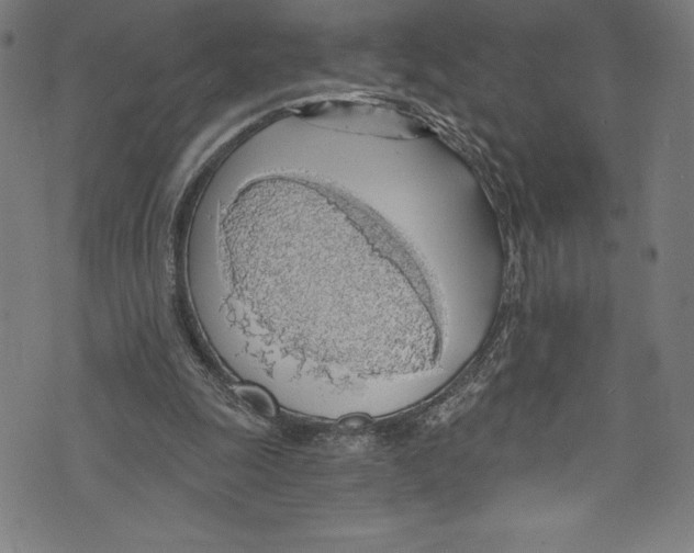 X0000072970247200608211329