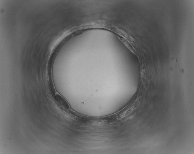 X0000072970248200608211329