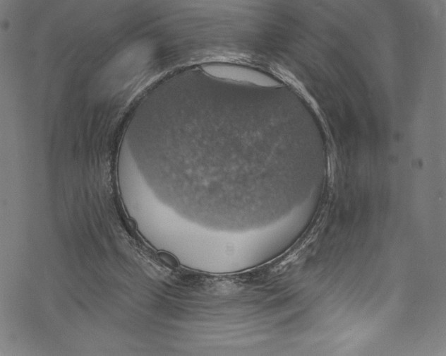 X0000072970249200608211329