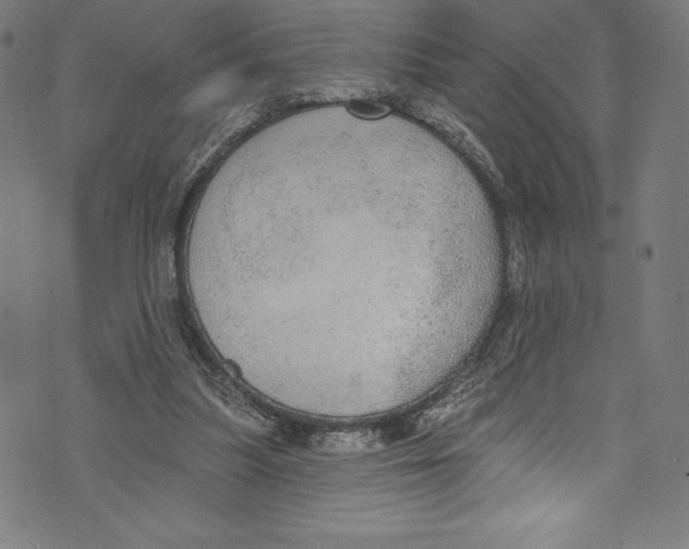 X0000072970251200608211329