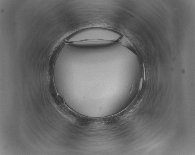 X0000072970252200608211329