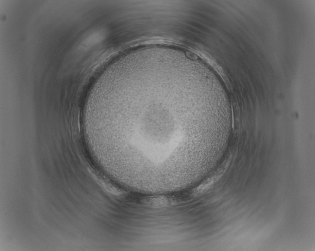 X0000072970253200608211329