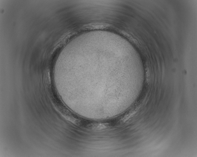 X0000072970254200608211329