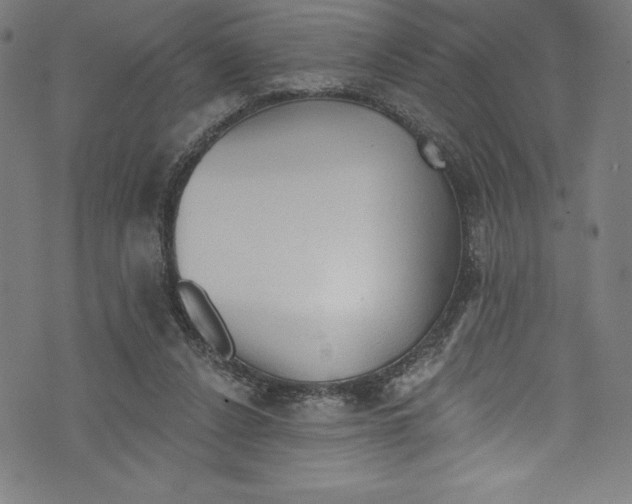 X0000072970256200608211329