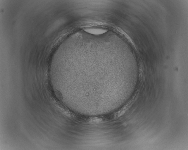 X0000072970257200608211329