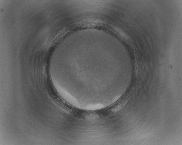 X0000072970258200608211329