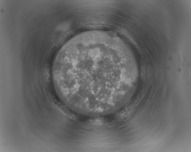 X0000072970259200608211329