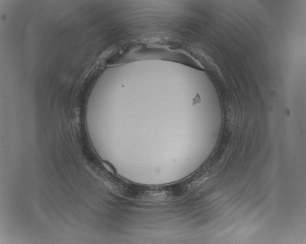 X0000072970260200608211329