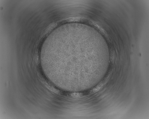 X0000072970261200608211329