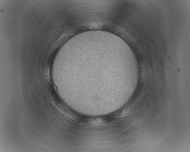 X0000072970262200608211329