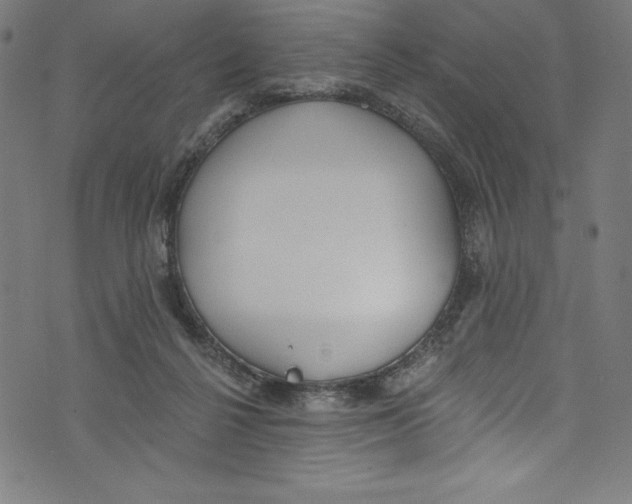 X0000072970264200608211329