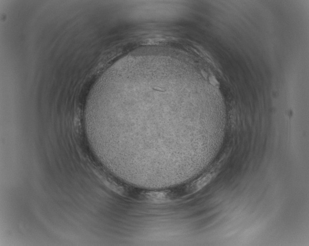 X0000072970265200608211329