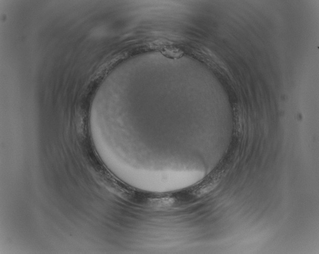 X0000072970266200608211329