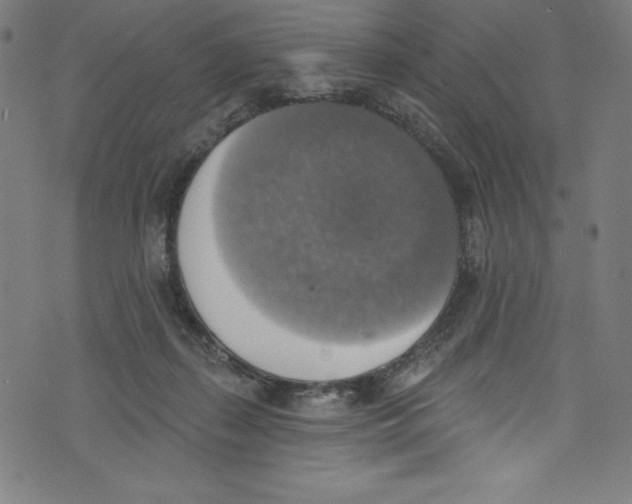 X0000072970267200608211329