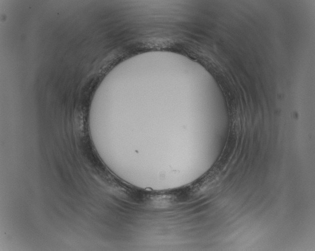 X0000072970268200608211329