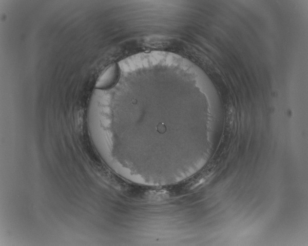 X0000072970271200608211329