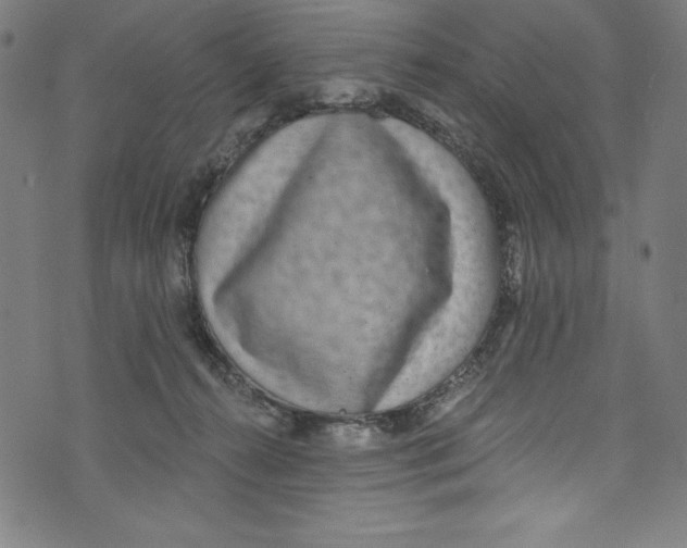 X0000072970272200608211329