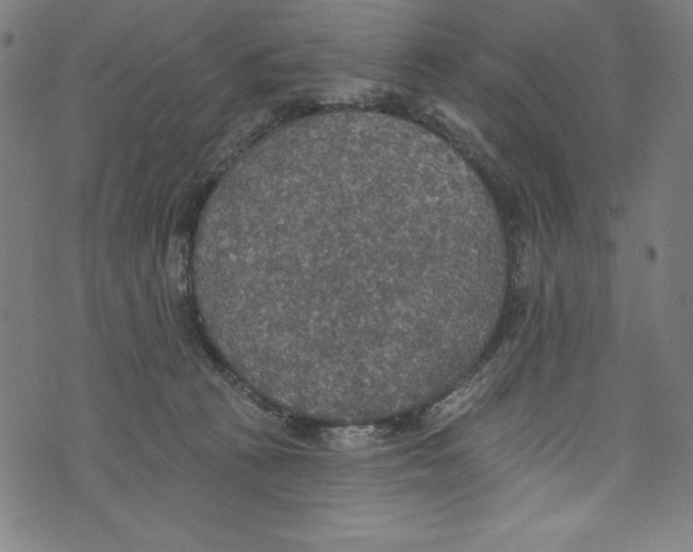 X0000072970273200608211329