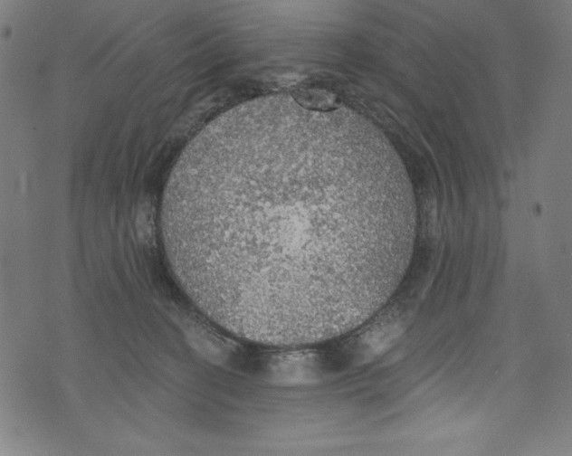 X0000072970274200608211329