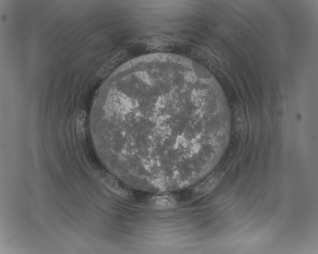 X0000072970275200608211329