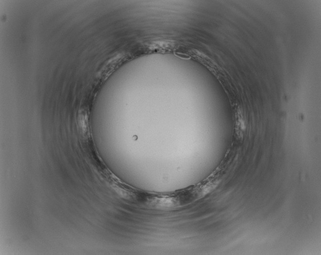 X0000072970276200608211329