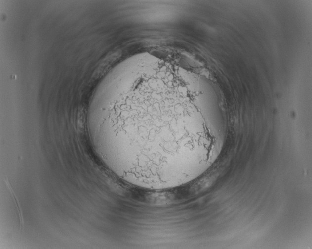 X0000072970277200608211329