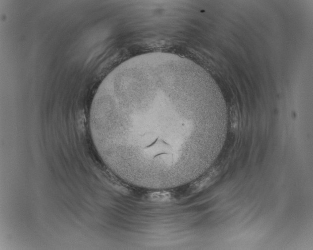 X0000072970279200608211329