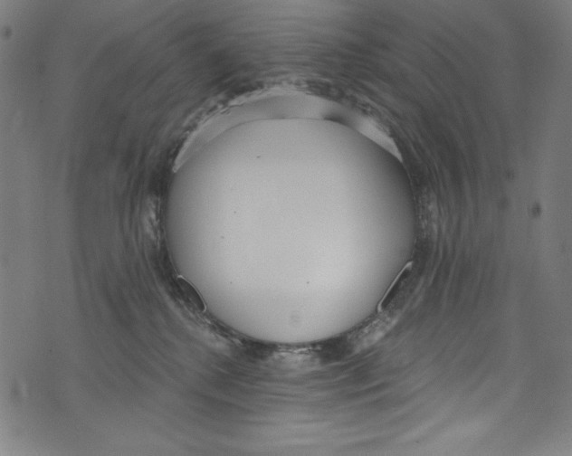 X0000072970280200608211329