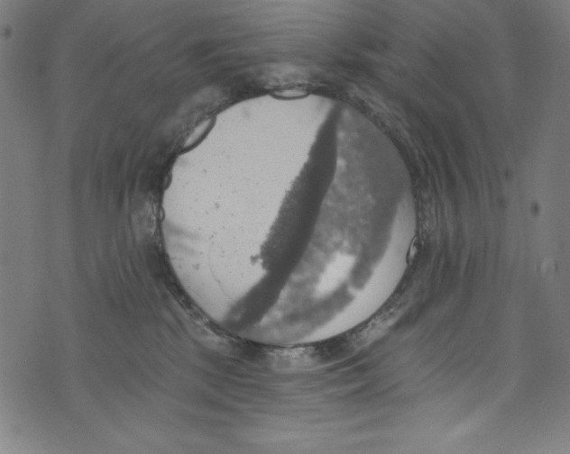 X0000072970281200608211329