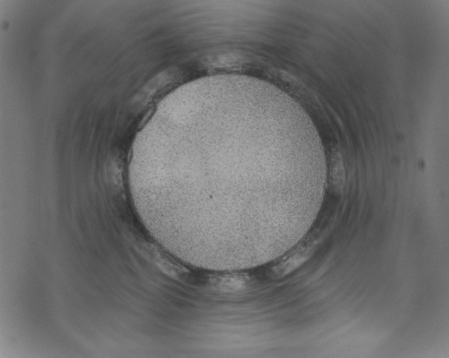 X0000072970282200608211329