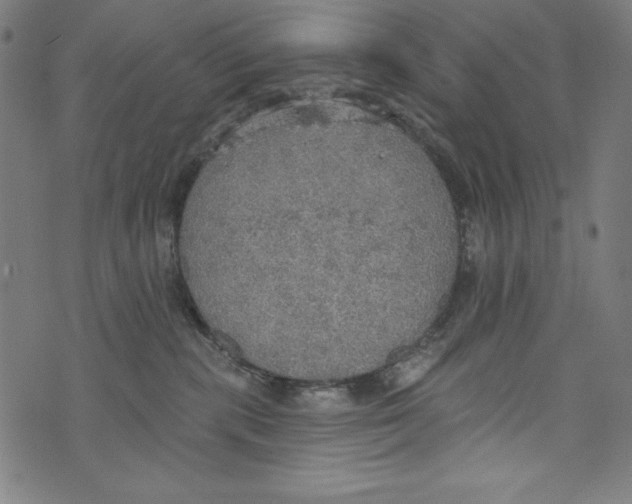 X0000072970283200608211329