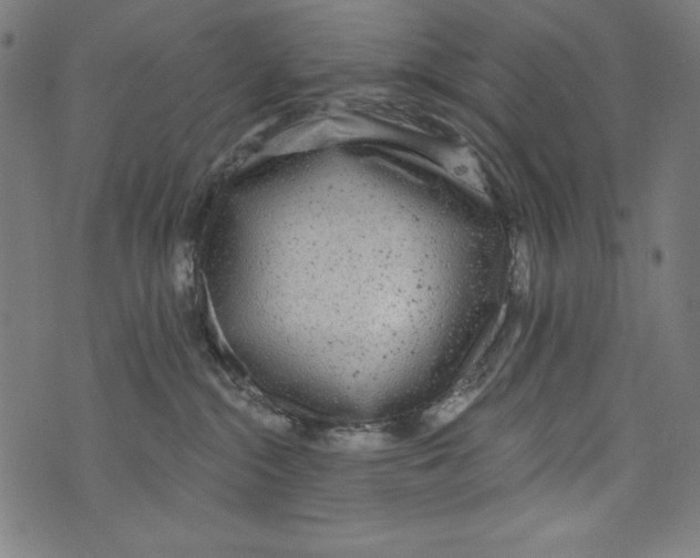 X0000072970284200608211329