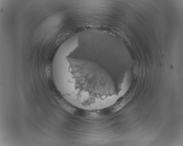 X0000072970285200608211329