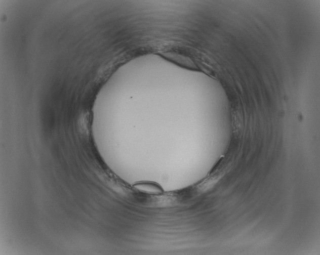 X0000072970286200608211329