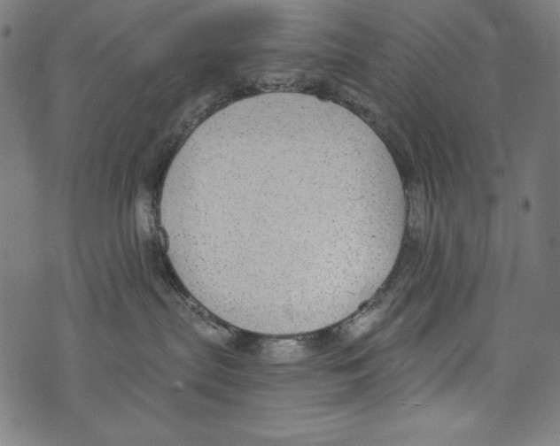 X0000072970287200608211329