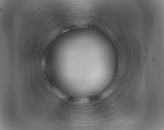 X0000072970288200608211329